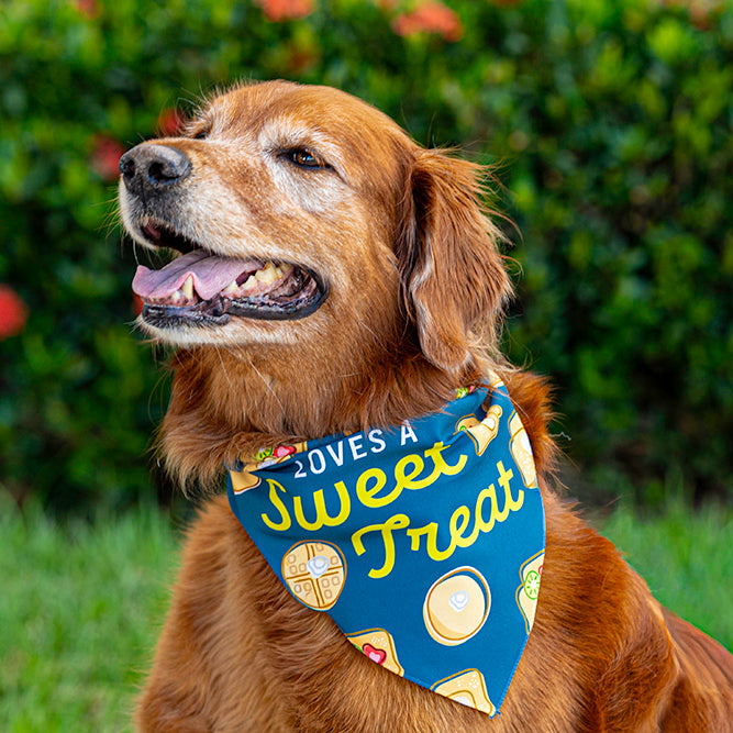 Loves a Sweet Treat, Large Pet Bandana