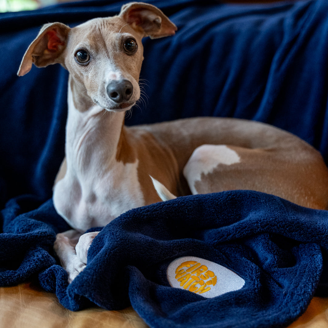 Egg-cellent Blanket